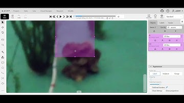 Underwater Object Detection with Bounding Box Annotation | Video Annotation Sample | Portfolio