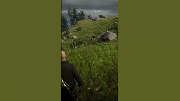 Mod menu in Red Dead Online is too funny😁