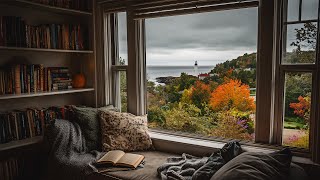 Gloomy Fall Rain By The Maine Coast🍂🌧️Calm Rain Ambience For Reading, Sleeping, Etc.