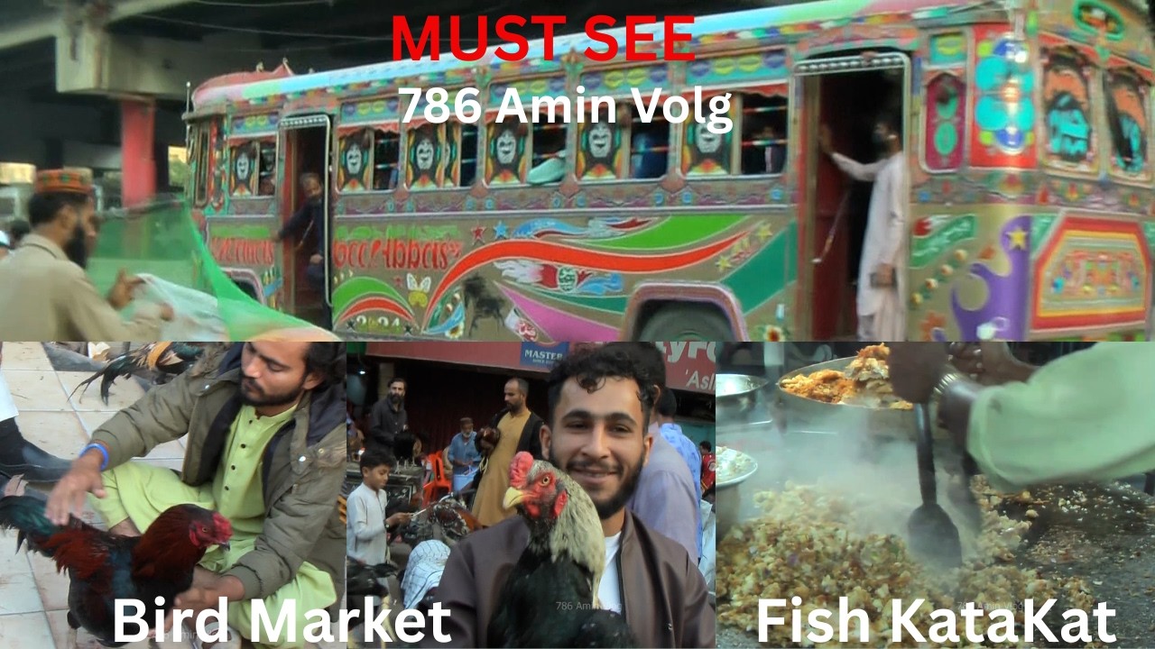 Lalukhet Birds Market, Liaquatabad Fish KataKat, Lalukhet, Liaquatabad Karachi Vlog  @786Aminvlog