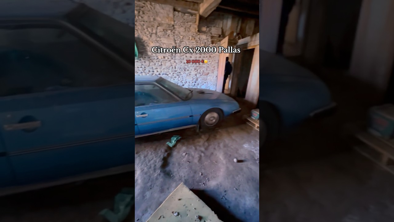 On trouve une voiture de collection ! 