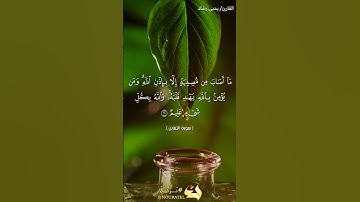 تلاوة عطرة لما تيسر من سورة التغابن بصوت القارئ يحيى رشاد #quran #tiktok #قرآن #telawat #quranquotes