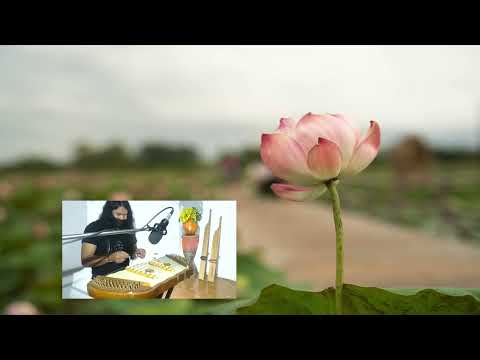 ขิมบรรเลง - แถม //เมืองดอกบัวงาม อุบลราชธานี