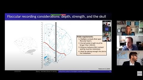 "Using multi-contact probes to functionally dissect the primate floccular circuit" - David Herzfeld