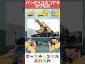🌈パンダうさぎコアラ(のりものver)🌈のりもののうた キッズチャンネルふわふわ