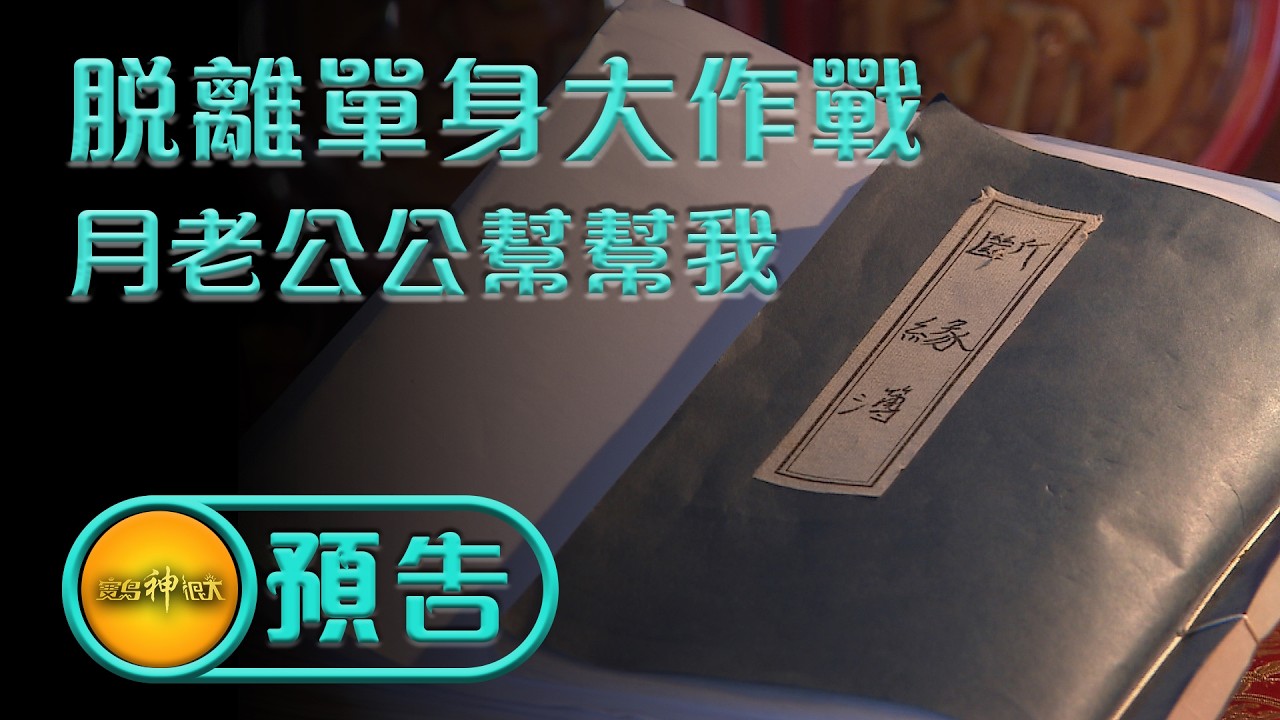 【脫離單身大作戰 月老公公幫幫我】｜預告 #寶島神很大 #月老 #姻緣 #桃花 #脫離單身大作戰 #月老公公幫幫我