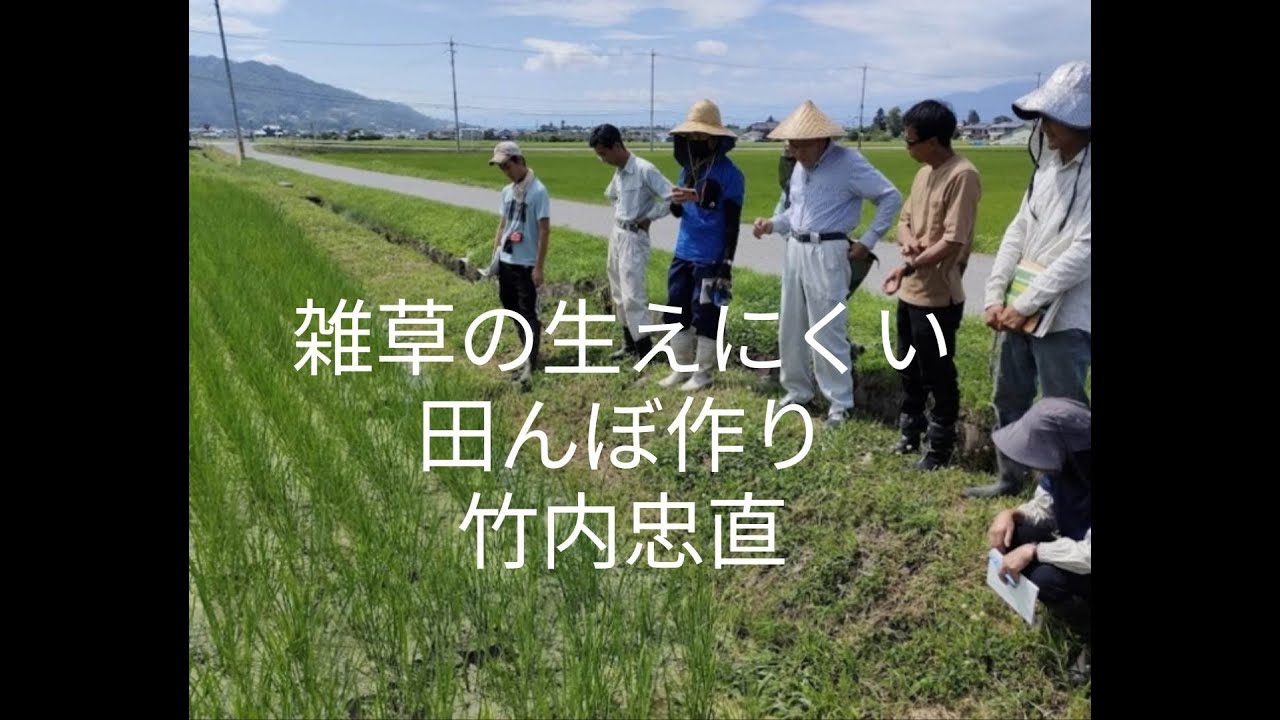 雑草の生えにくい田んぼ作り 竹内忠直の取り組み - YouTube