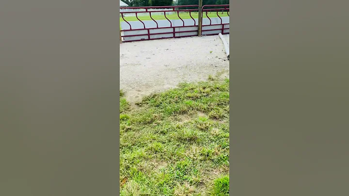 New feed pen for bulls