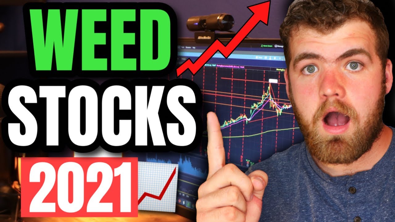 Top 3 Weed Stocks To BUY in 2021 (High Growth) YouTube