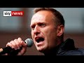 Alexei Navalny: Russia suspends activities of Kremlin critic