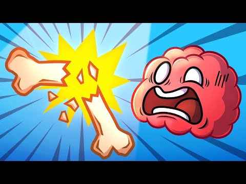 Как наш организм