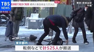 関東の大雪 路面凍結でバスが住宅に衝突 転倒・スリップ相次ぎ５２５人搬送【news23】