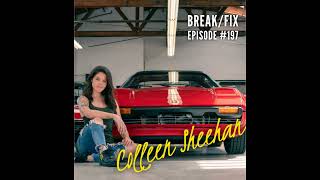 The Sheehans of Ferraris Online: 50 Years of Passion, Precision, and Prancing Skunks