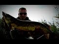 Szczupaki z jeziora w Holandii . Pike from a lake in the Netherlands #17