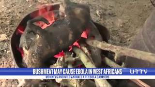 U-T TV Ebola Report: Bushmeat U-T TV Ebola Report: Bushmeat