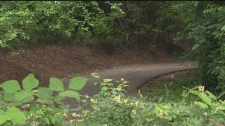 3 children found dead in Gwinnett County park in suspected murder-suicide identified