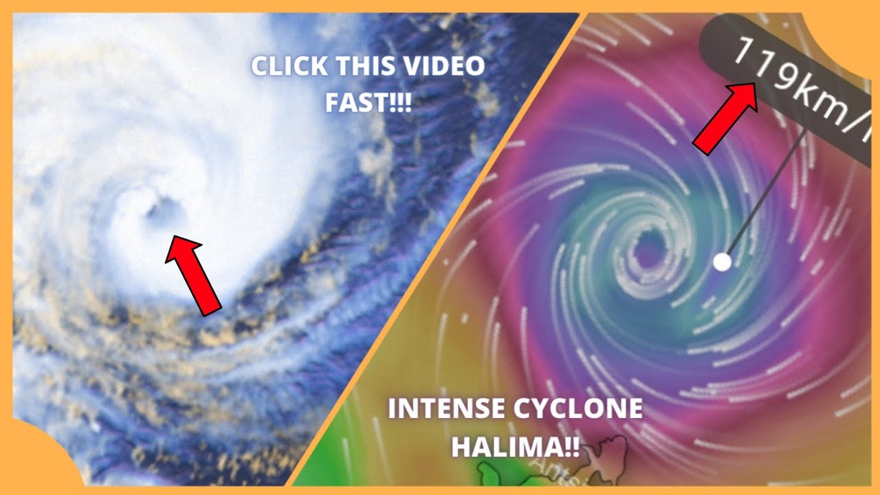 Dernière mise à jour sur le prochain cyclone Halima | Cyclone Updates
