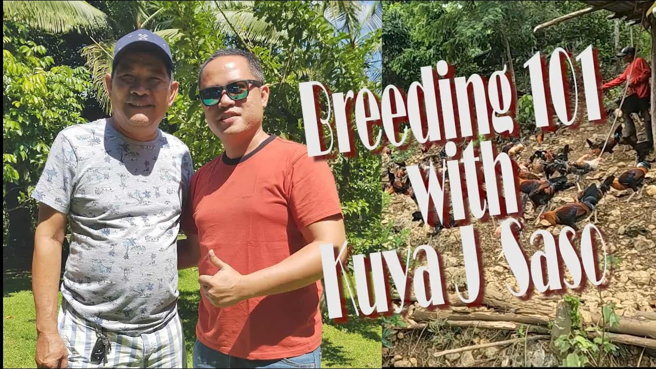 EP660: Breeding 101 with Kuya J Jojo Saso