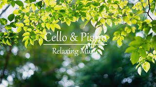 Beautiful Relaxing Piano & Cello Music  Soothing Sleep Healing Music for Health With Natural Video