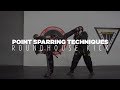 Point Sparring Techniques - Roundhouse Kick