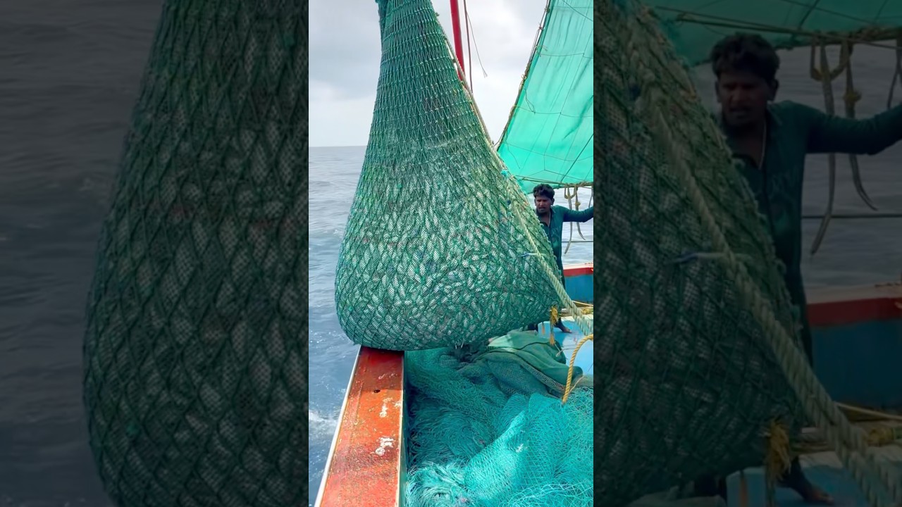 “Massive Fishing!!!