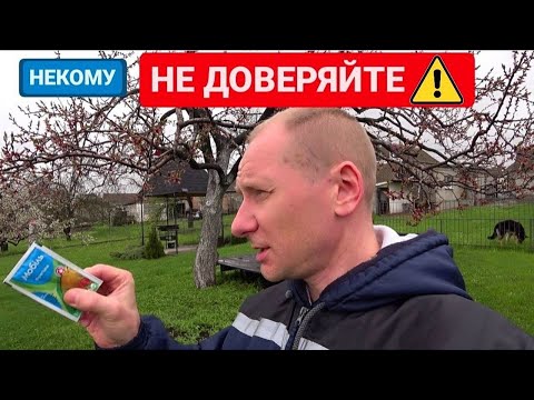 Препарат который себя