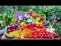 Breathtaking Backyard Gardening Harvest, You Have to See it to Believe it!