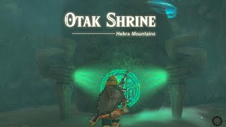 How to Complete Otak Shrine in Zelda: Tears of The Kingdom (Otak Shrine Walkthrough)