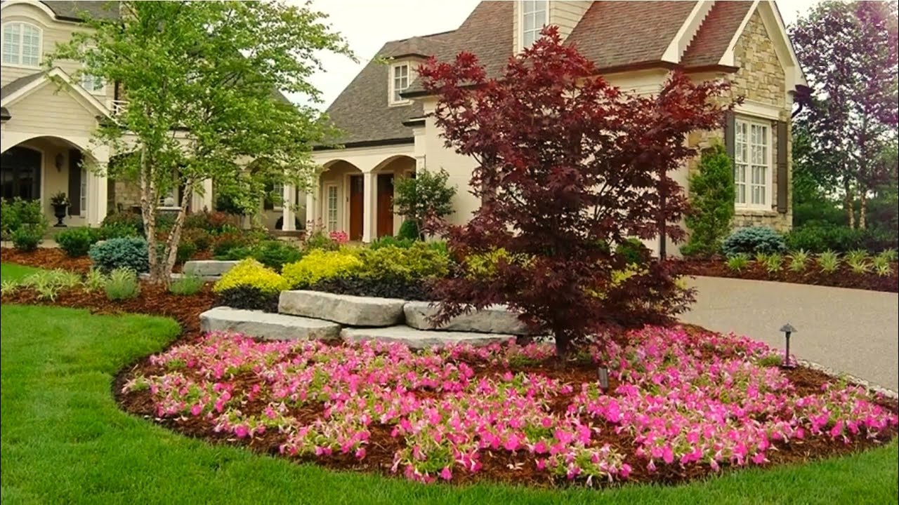 Творчество и Декор Интересные идеи для сада / Creativity and decoration Ideas for the garden