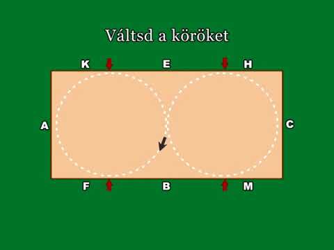 Videó: Hogyan Készítsünk Műanyag Lovat A Saját Kezével