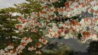 20090401 1