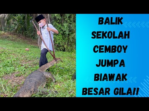 Cemboy jumpa mangsa baru, kalini lagi padu, besar gila macam buaya 😱