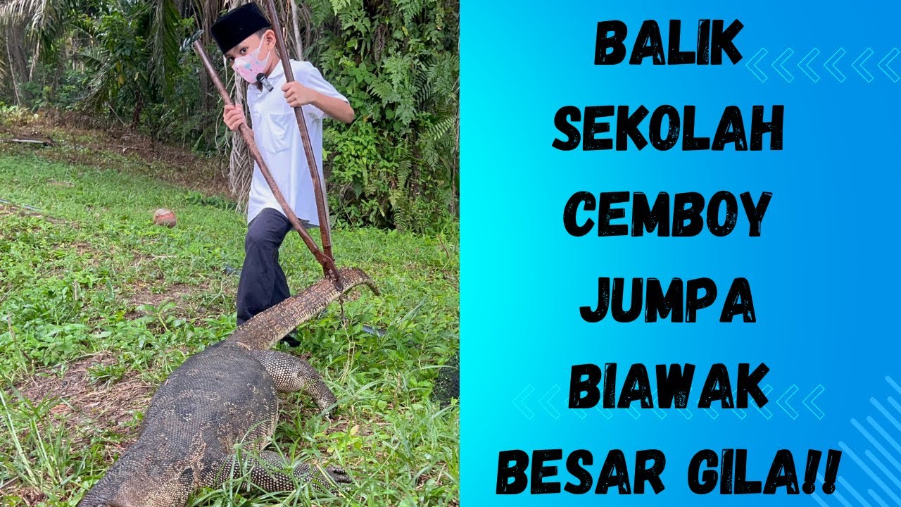 Cemboy jumpa mangsa baru, kalini lagi padu, besar gila macam buaya 😱