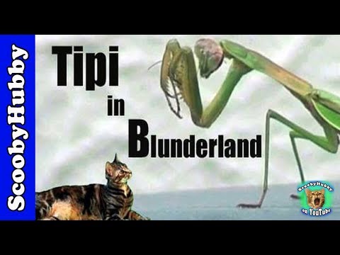 tipi-in-blunderland----cat-clips-#113