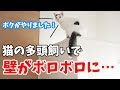 猫の爪で家の壁がボロボロになったので対策します