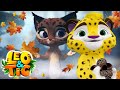 LEO and TIG 🦁 🐯 Autumn colors 🍂 Epsodes collection 💚 Moolt Kids Toons Happy Bear