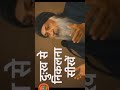 दूसरों पर क्रोध करना गलत,ओशो प्रवचन  osho gyan