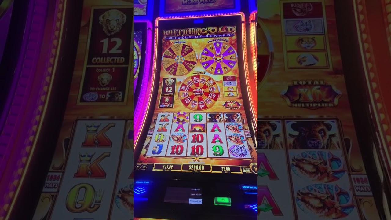 This Buffalo Gold Bonus Paid WAY More Than Expected