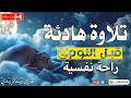 تلاوة رائعة وهادئة قبل النوم بصوت القارئ زيد الزبيدي2025 تلاوة رائعة وهادئة قبل النوم بصوت القارئ زيد الزبيدي2025