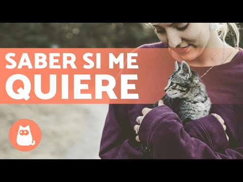 ¿Por qué mi