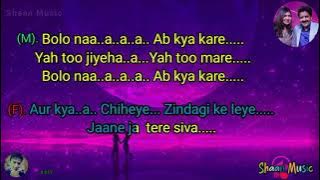 Dil Dil Dil Deewana Har Dil Jo Pyar Karega _  Karaoke With Lyrics _ Udit Narayan And Alka Yagnik