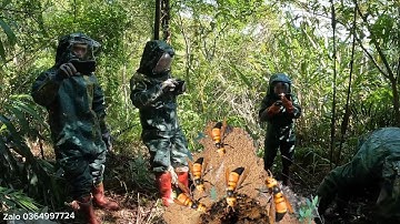 83) năm anh em chiến đấu với tổ ong đất sát thủ nguy hiểm nhất các loại ong 