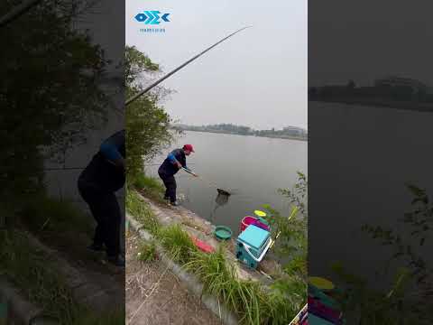TRẢI NGHIỆM CÂU CHÉP MÙA ĐÔNG HỒ KÈ ĐÁ - PHẦN 3