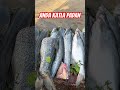 #fishing #fish #fishcutting #carpfishing #food #carp #bigfish #seafood #streetfood #cooking #fishcut