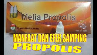MANFAAT DAN EFEK SAMPING PROPOLIS