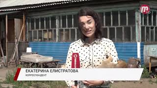 Приюту "Кот и пёс" исполнилось 10 лет! Приюту "Кот и пёс" исполнилось 10 лет!