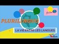 Monolingue bilingue plurilingue