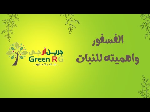 فيديو: هل يتطلب امتصاص الفسفور طاقة تنشيط؟