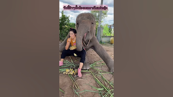 งานนี้ใครฟินสุด Who is the most satisfied with this event? #คลิปตลก #คลิปไวรัล #มายากล #คลิปดัง