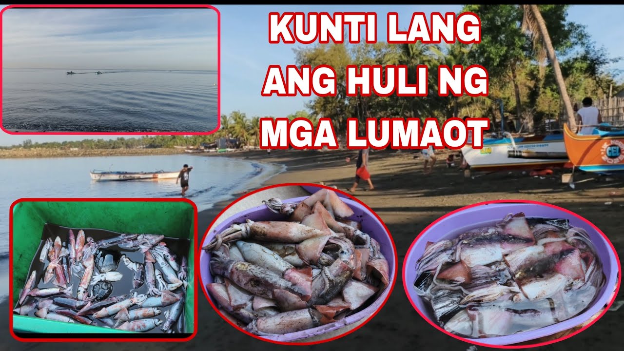 SUMALUBONG SA MGA LUMAOT | NAG DAING ULIT AKO NG PUSIT AT UWAK